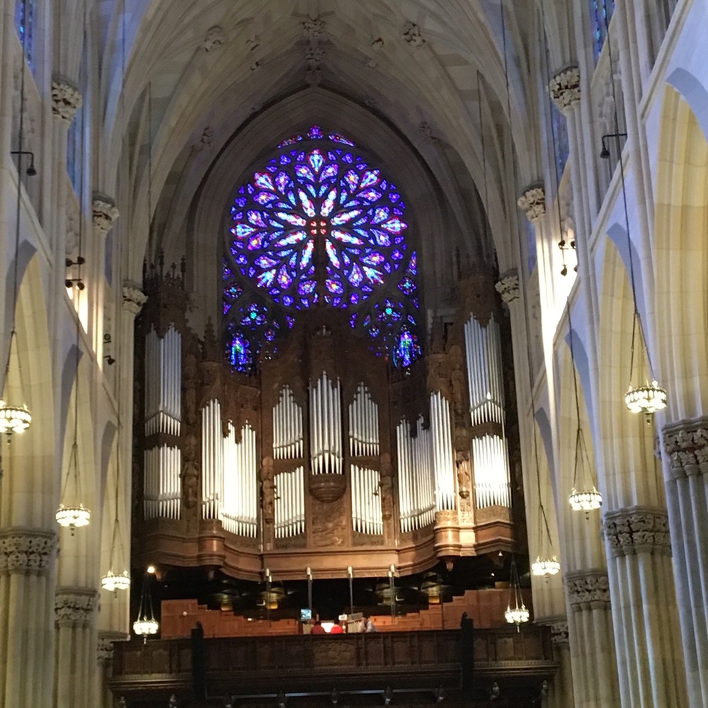 Meet your Posher, Heather